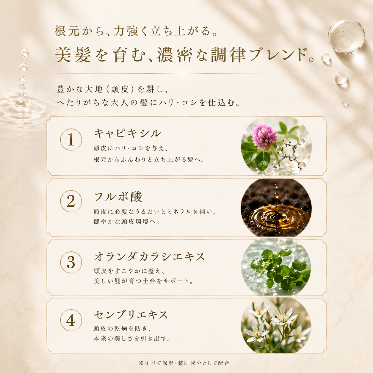 THE Du La ment 頭皮用美容液【145ml】